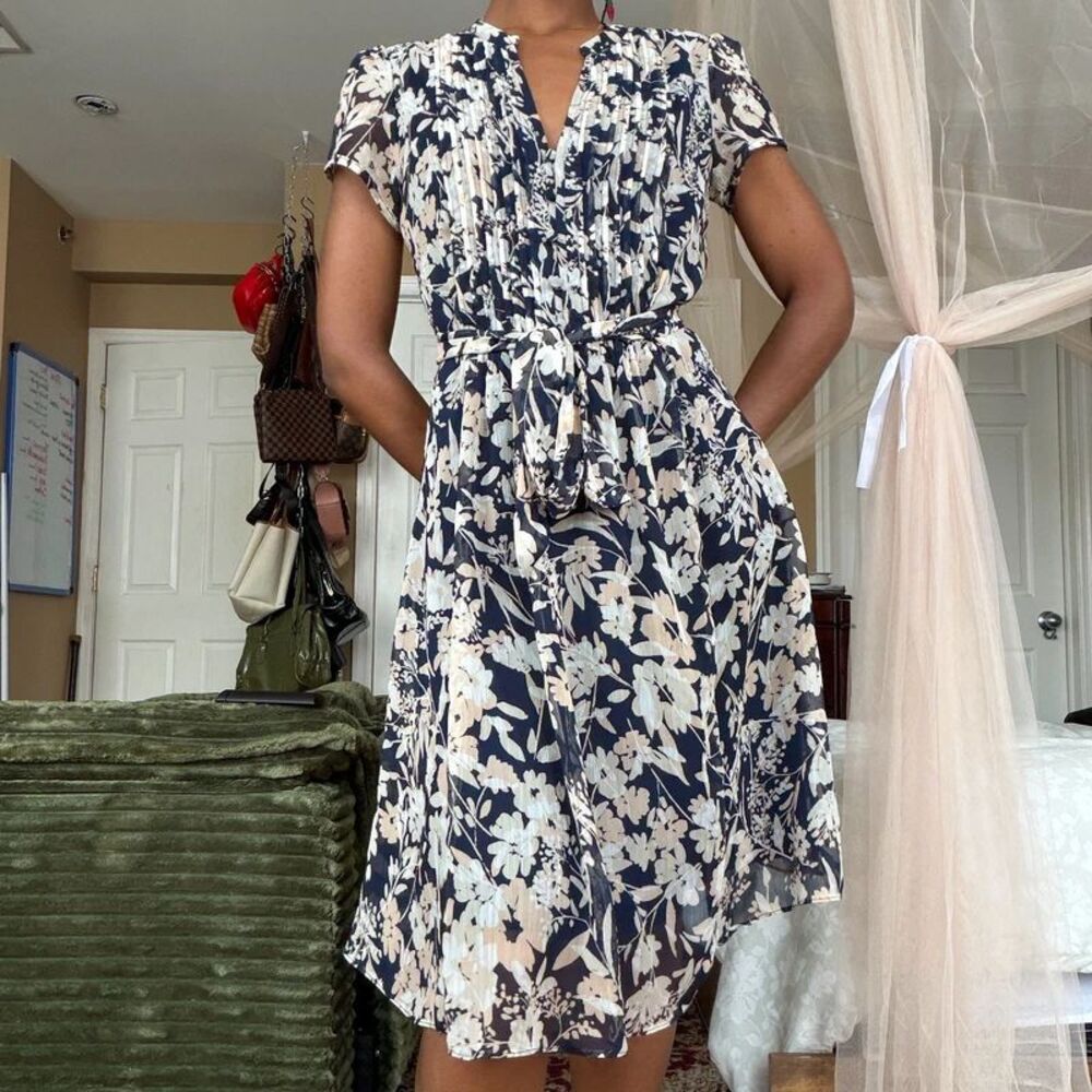 JBS Floral Chiffon Dress (Size 6)